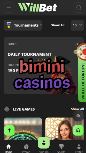 Bimini Casinos - Top Bahamas Casinos-www.bdqngd.com
