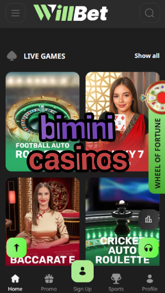 Bimini Casinos - Top Bahamas Casinos-www.bdqngd.com